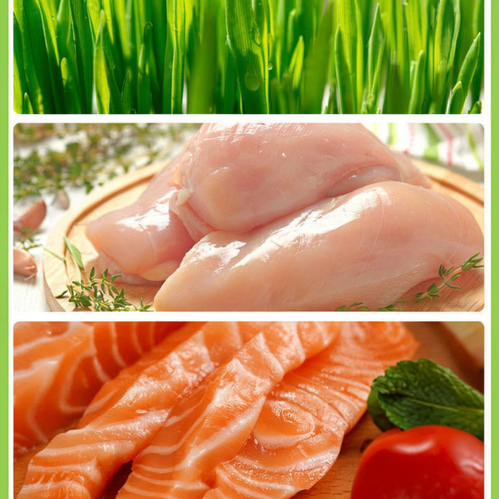 Freeze Dried Cat Grass Bites H - đánh giá và giá Healthy Snacks Food