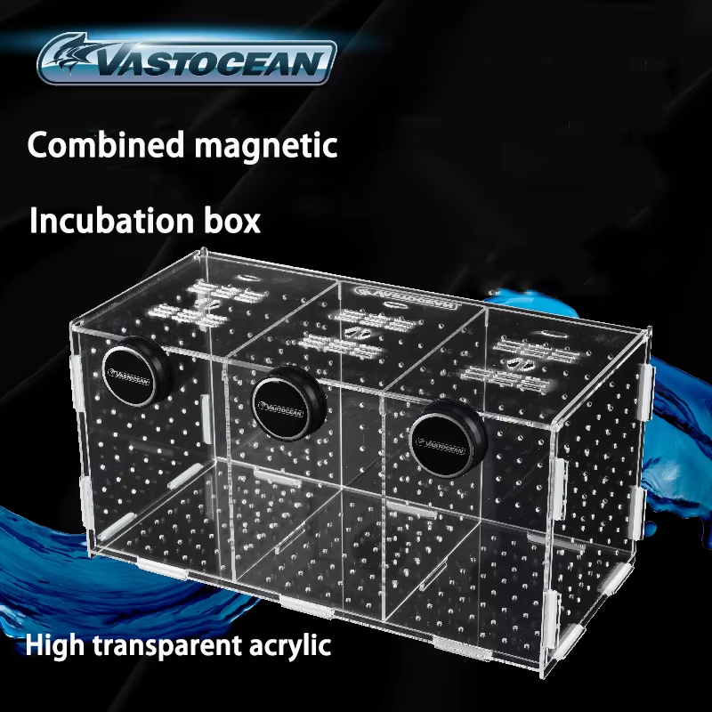 VASTOCEAN-Magnetic Combined Ac - đánh giá và giá Seaweed Snack