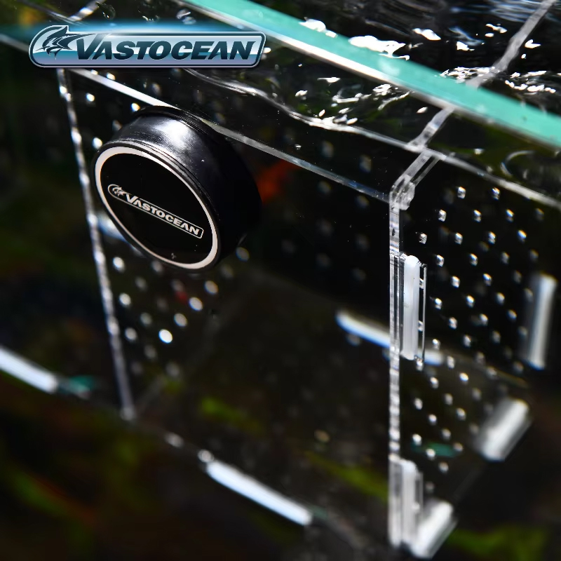 VASTOCEAN-Magnetic Combined Ac - đánh giá và giá Seaweed Snack